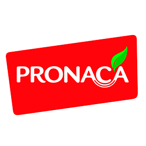 pronaca